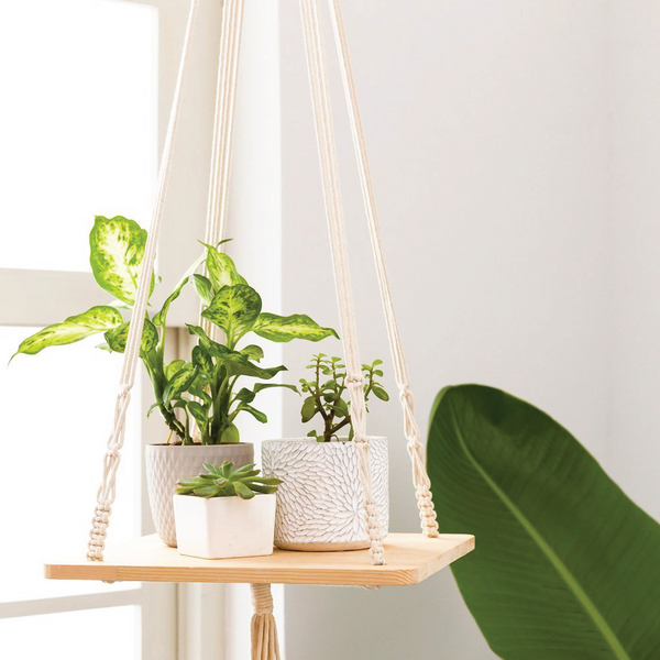 Dreamer Shelf – The Geometric Planter