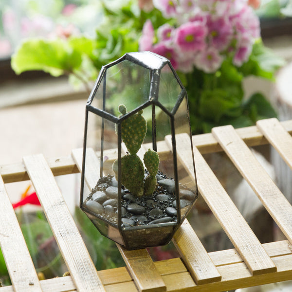 Irregular Terrarium – The Geometric Planter