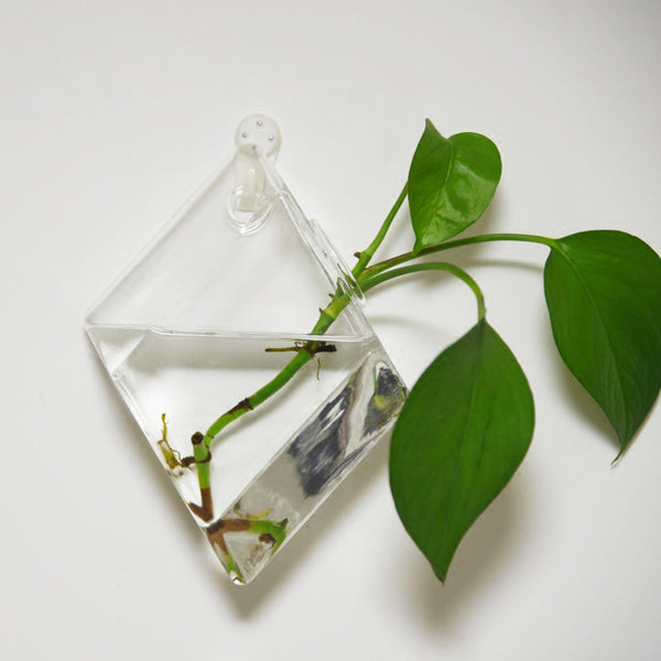 geometric wall hanging planter Glass Wall Planters (2 Pack) – The Geometric Planter