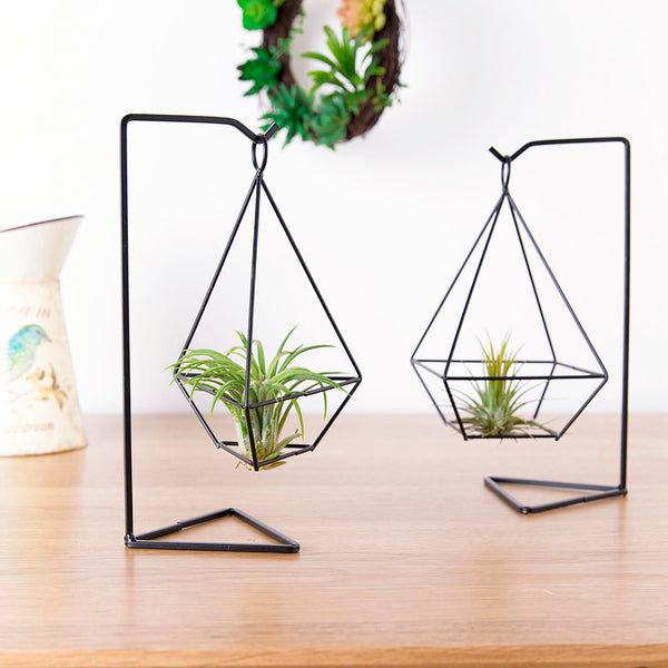 air plant holders wholesale Air Plant Holder (2 styles) – The Geometric Planter