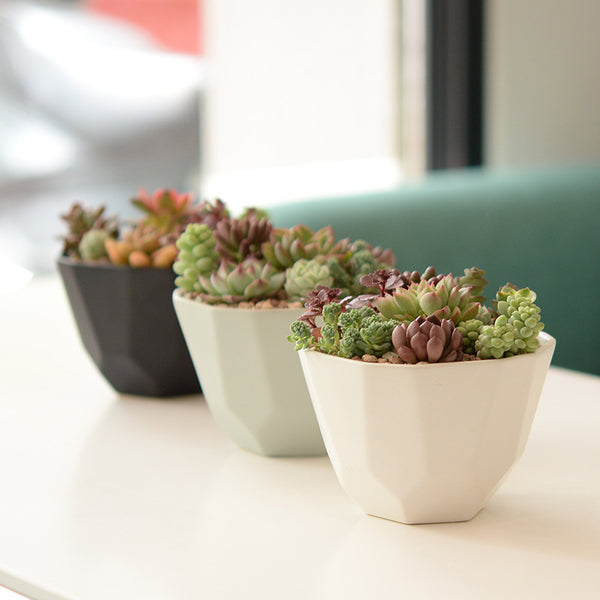 large geometric plant pot Earth Planter (4 colors) – The Geometric Planter