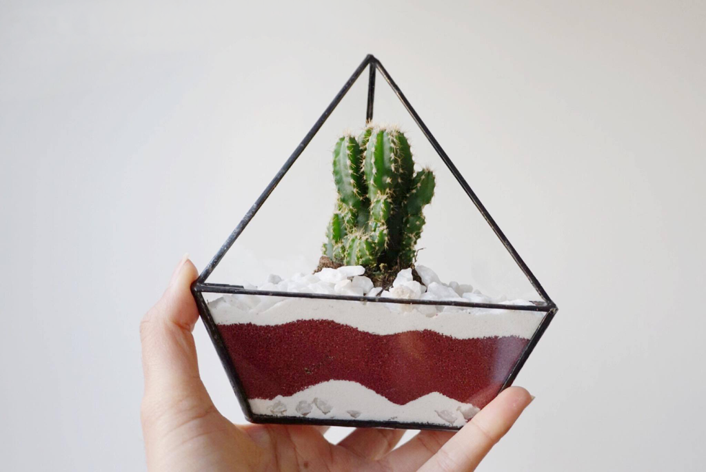 Create a sand terrarium in 5 simple steps  The Geometric Planter