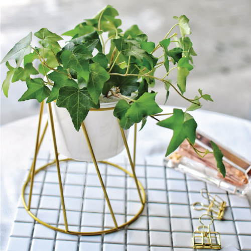 gold pot plant stand Twist Stand & Planter (Gold) – The Geometric Planter