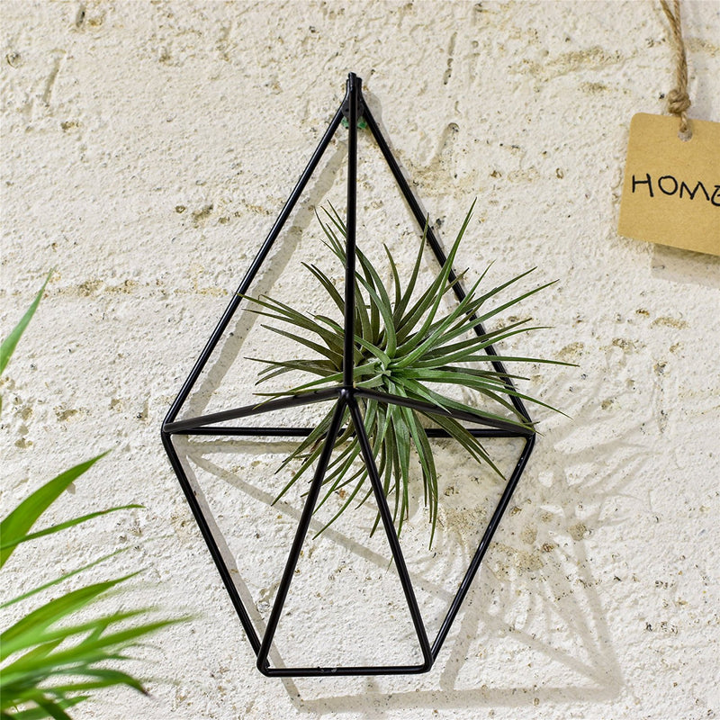 wall planters for air plants Air Plant Wall Cage (2 colors) – The Geometric Planter