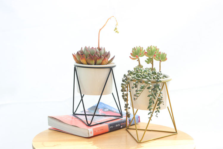Triangle Stand & Planter (Gold)