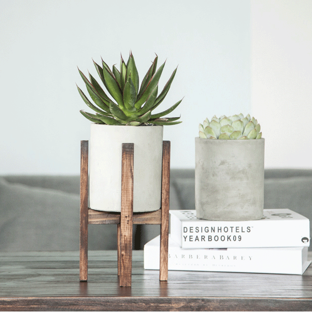 succulent geometric planter Cylinder Forest Planter – The Geometric Planter