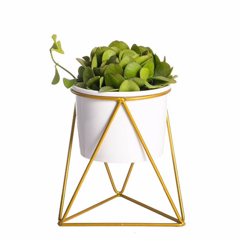 gold geometric plant pot Triangle Stand & Planter (Gold) – The Geometric Planter