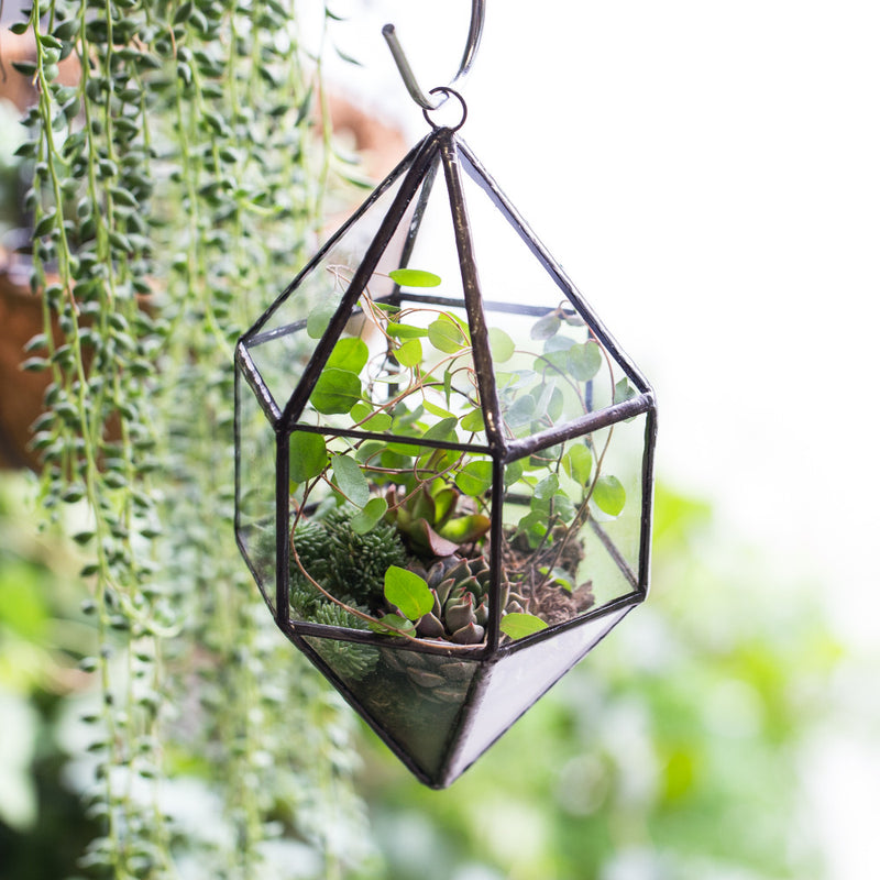 plants for hanging terrarium Hanging Mediterranean Terrarium – The Geometric Planter