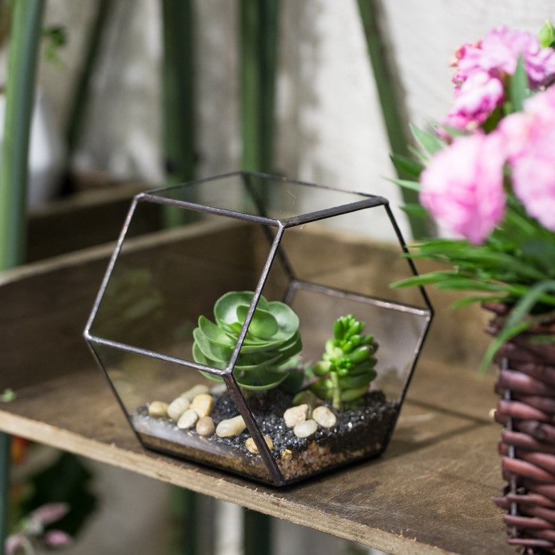 hexagon hanging planter Hanging Hexagon Terrarium – The Geometric Planter