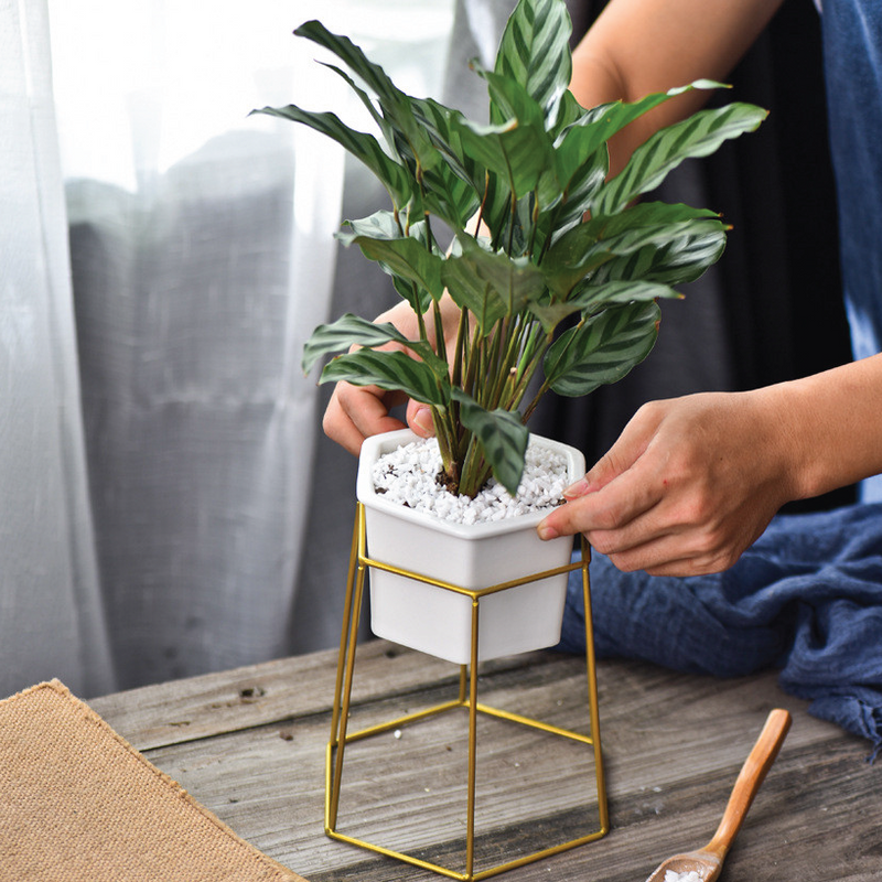 Hexagon Stand & Planter (gold)