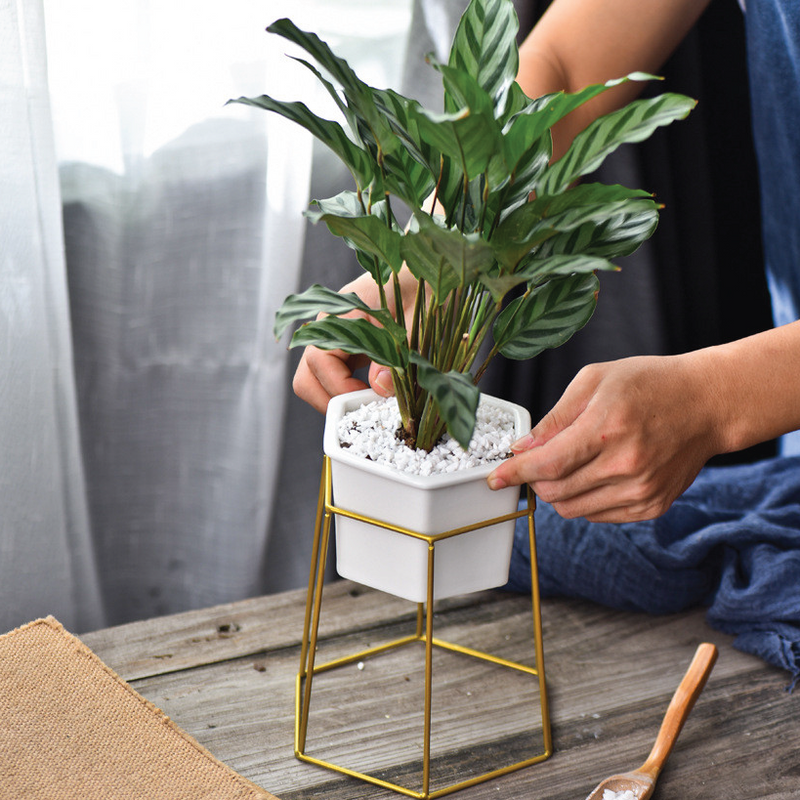 indoor gold planter Hexagon Stand & Planter (gold) – The Geometric Planter