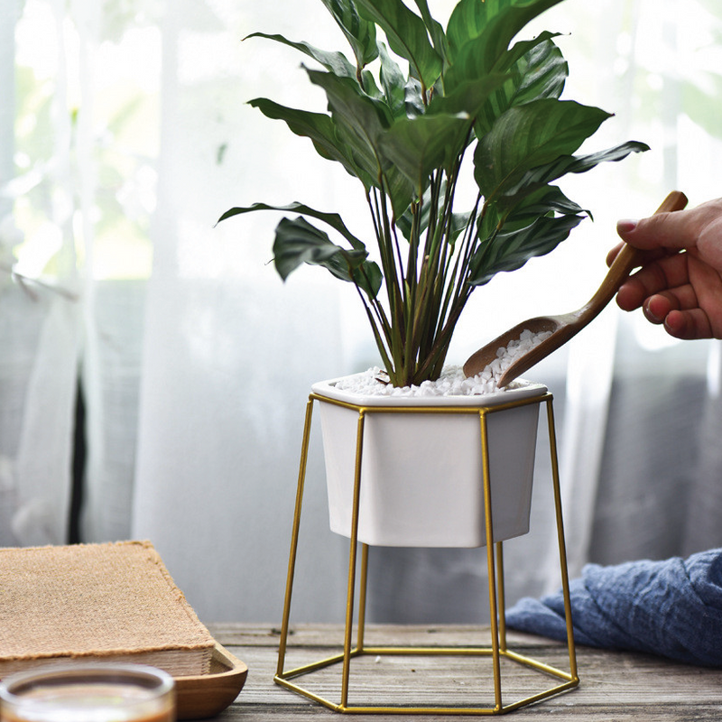 Hexagon Stand & Planter (gold)