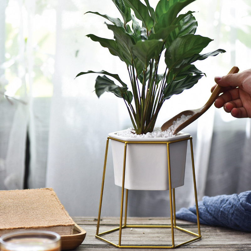 gold and white plant pot Hexagon Stand & Planter (gold) – The Geometric Planter
