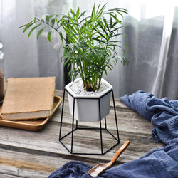geometric plant pots Hexagon Stand & Planter (black) – The Geometric Planter