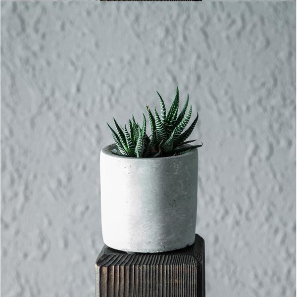 Concrete Cylindrical Planter