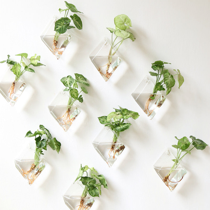 glass pot for plant Glass Wall Planters (2 Pack) – The Geometric Planter