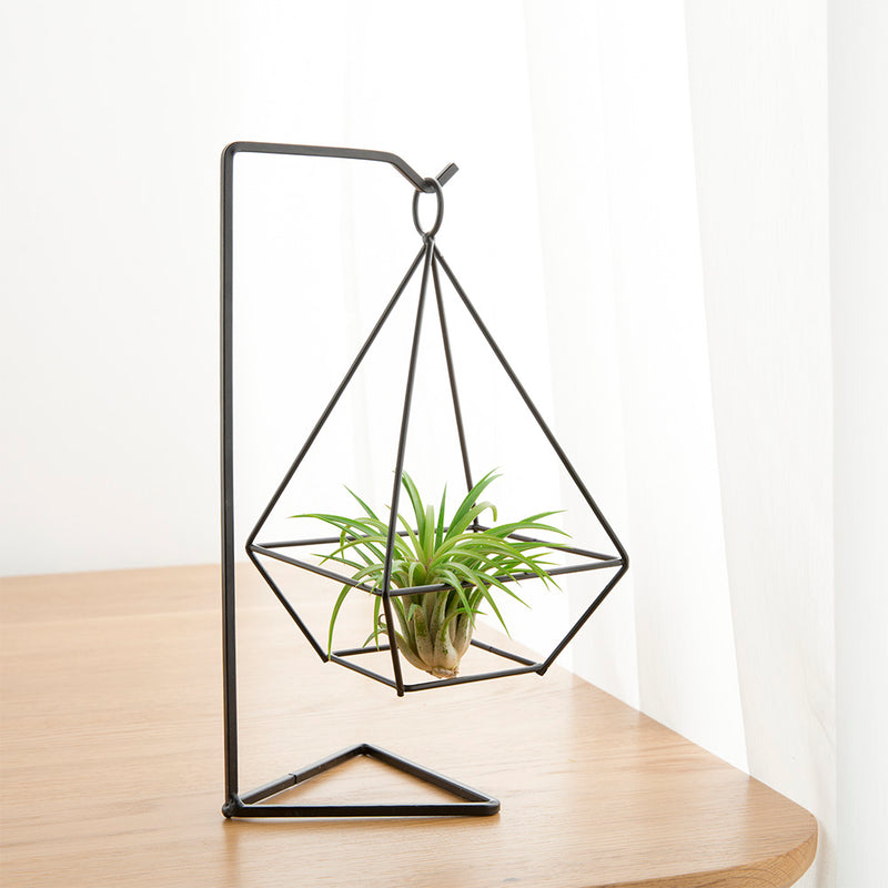 air plant pots Air Plant Holder (2 styles) – The Geometric Planter