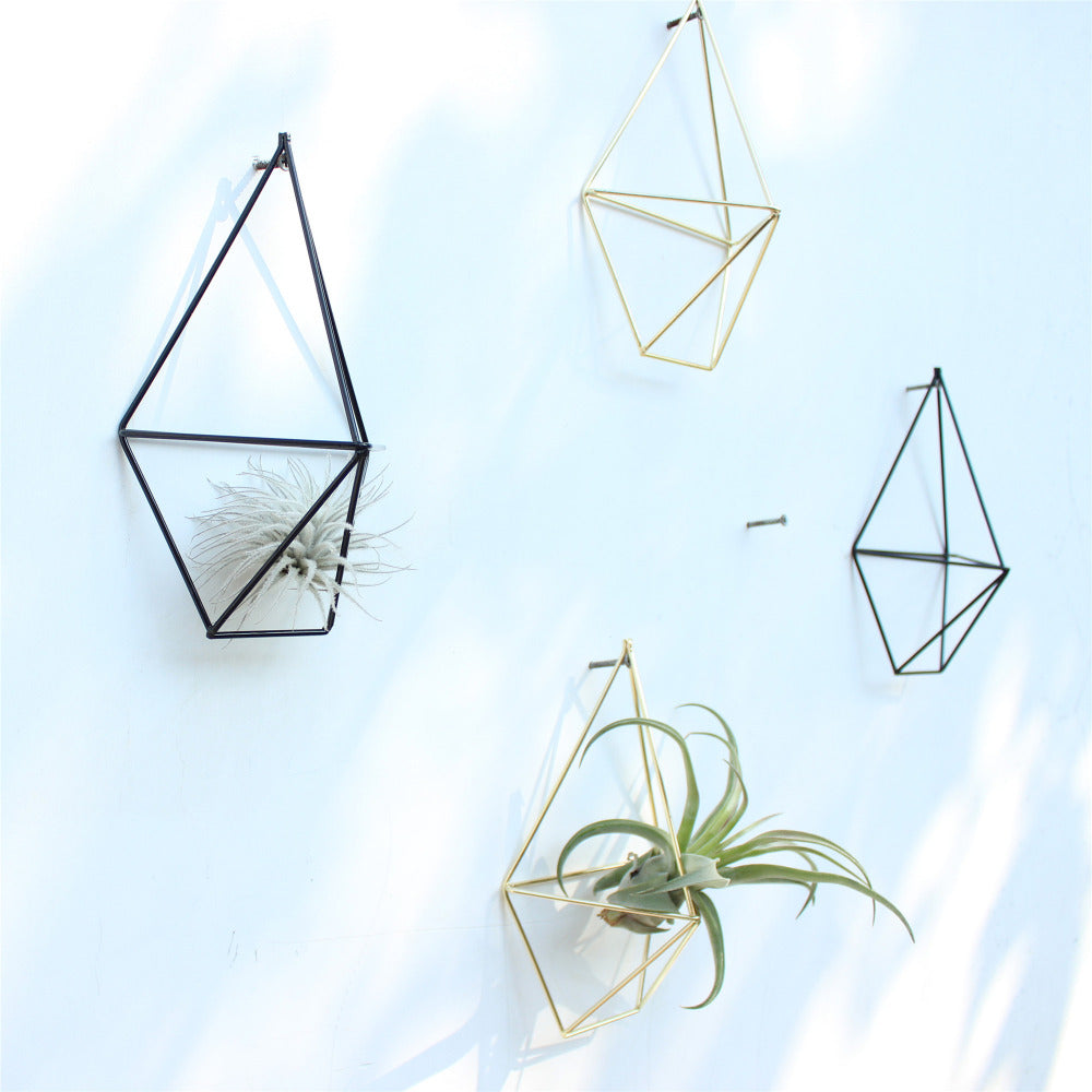 Air Plant Wall Cage (2 colors)  The Geometric Planter