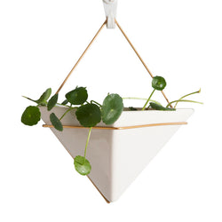 geometric wall hanging planter Nordic Hanging Planter (2 styles) – The Geometric Planter