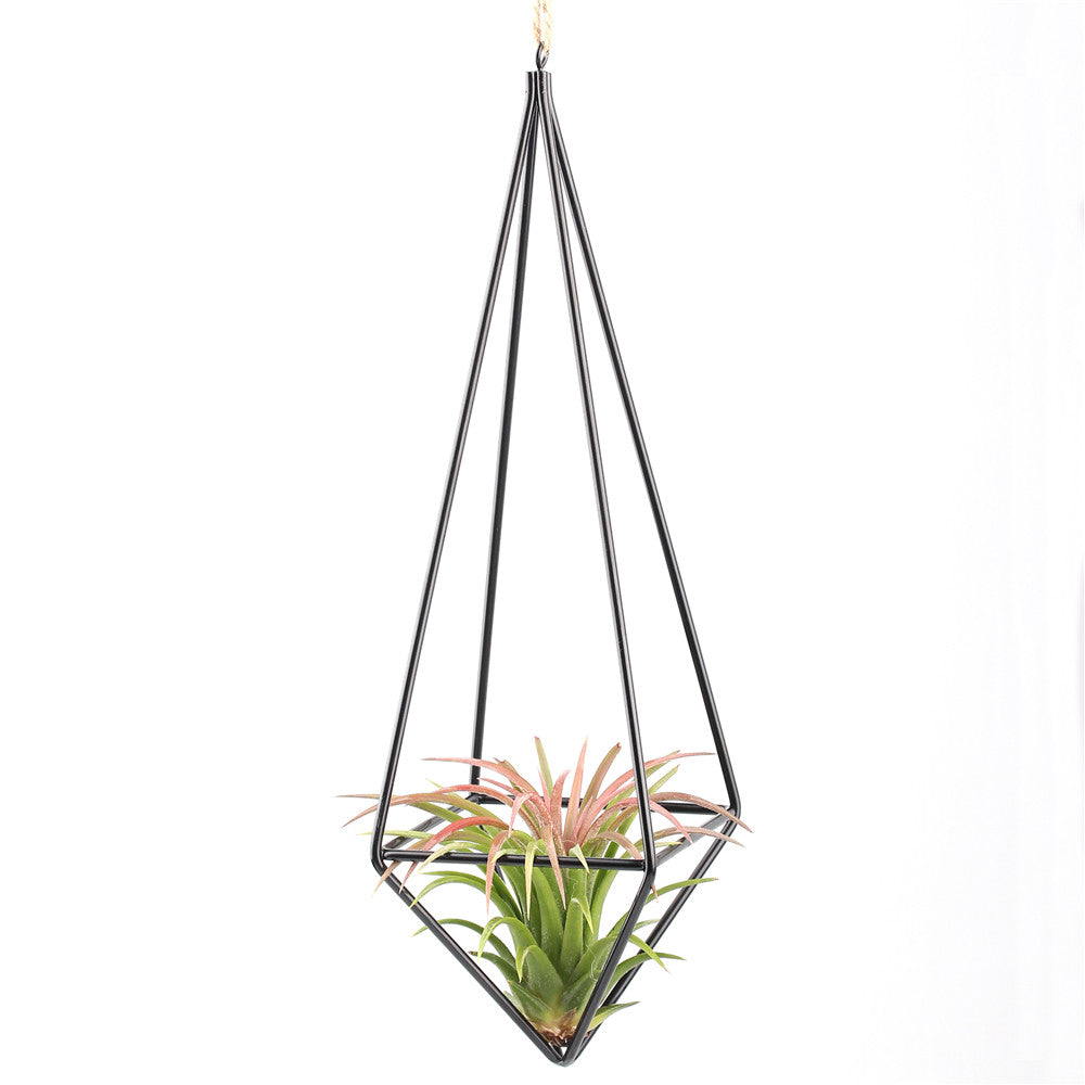 geometric air plant hanger Air Plant Hanger – The Geometric Planter