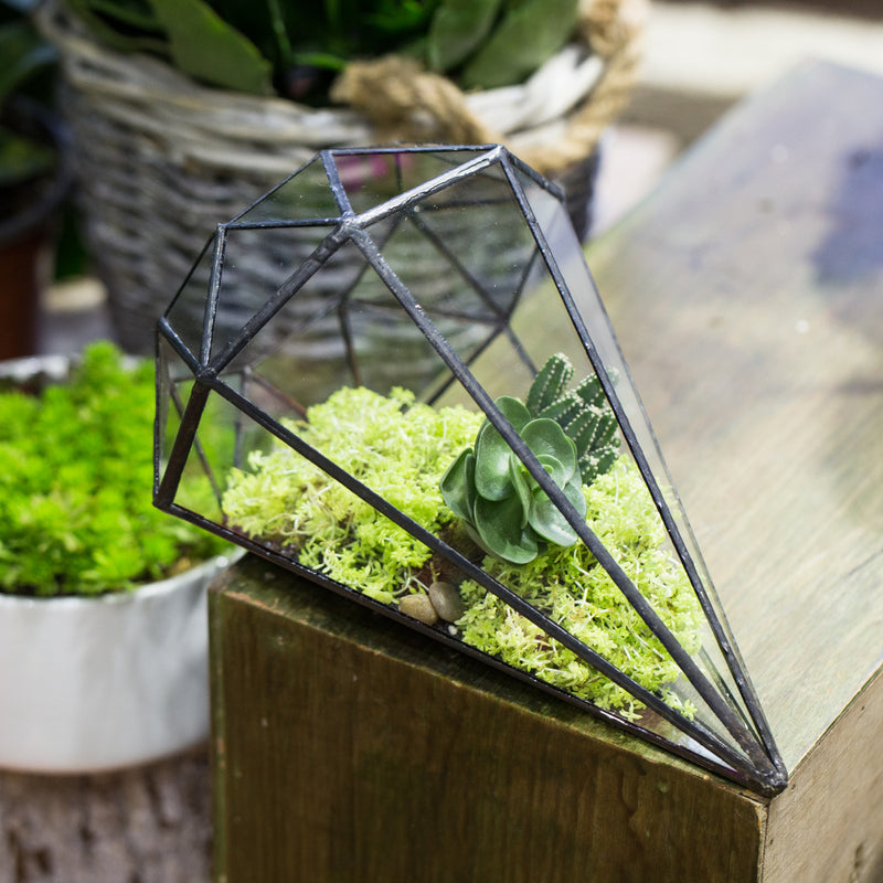 planter til terrarium Octahedral Terrarium – The Geometric Planter
