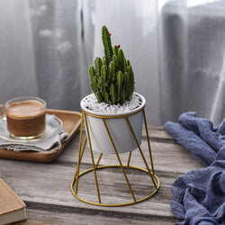 gold succulent planter Twist Stand & Planter (Gold) – The Geometric Planter