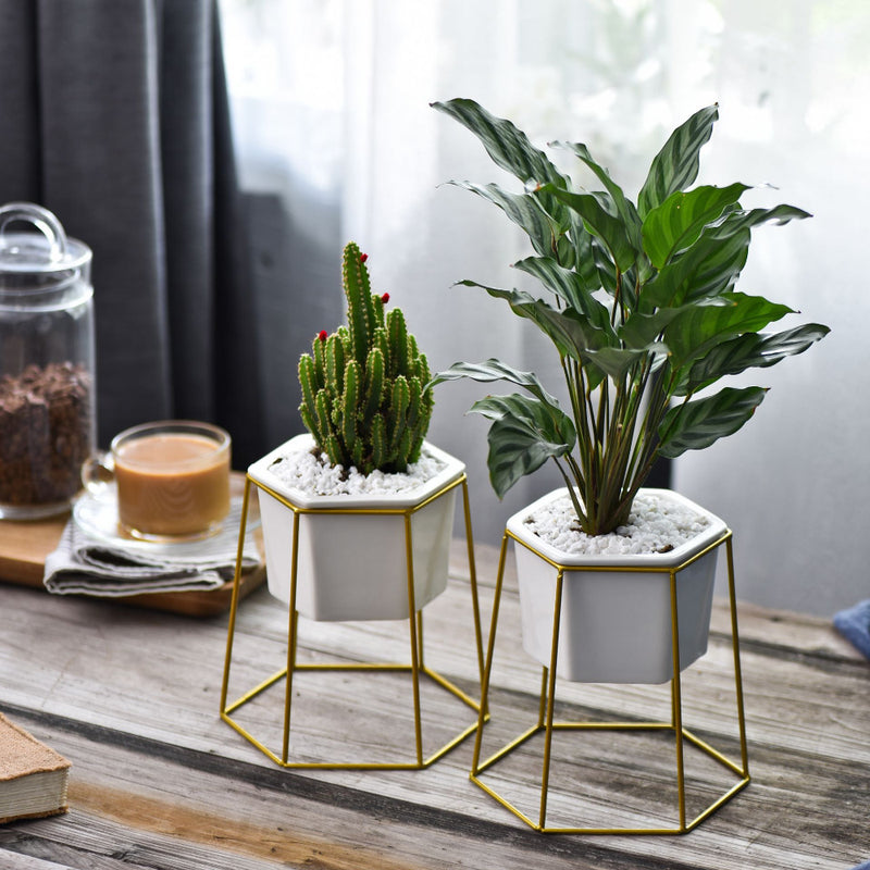 gold indoor plant stand Hexagon Stand & Planter (gold) – The Geometric Planter
