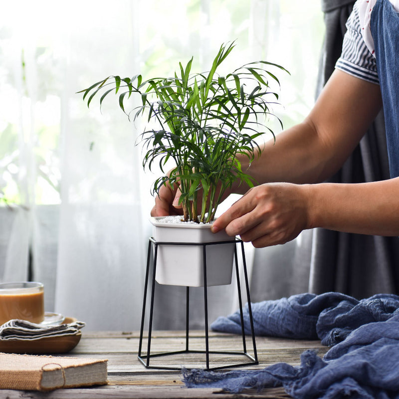 black pot plant holder Hexagon Stand & Planter (black) – The Geometric Planter