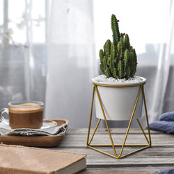 gold geometric plant pot Triangle Stand & Planter (Gold) – The Geometric Planter