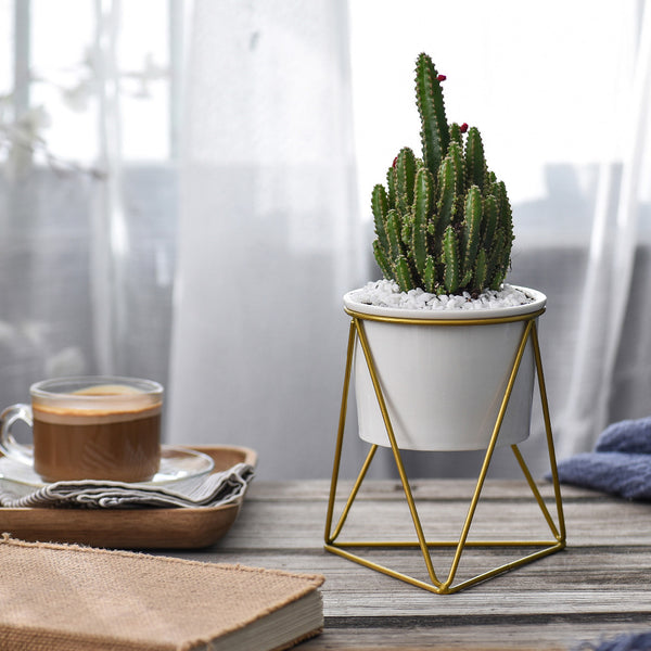 Triangle Stand & Planter (Gold)