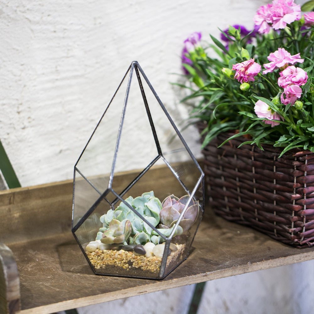 geometric terrarium plants Teardrop Terrarium – The Geometric Planter