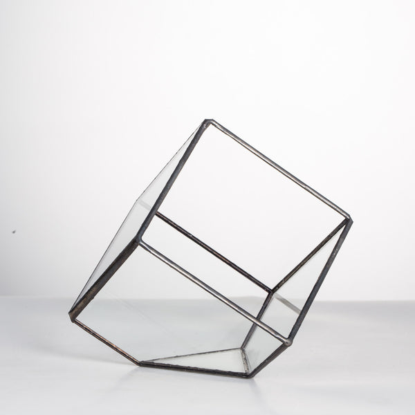 Inclined Cube Terrarium