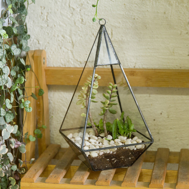 plants for hanging glass terrarium Hanging Pyramid Terrarium – The Geometric Planter