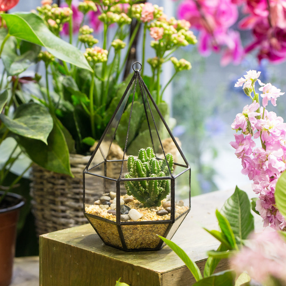 geometric hanging planter Hanging Diamond Terrarium – The Geometric Planter