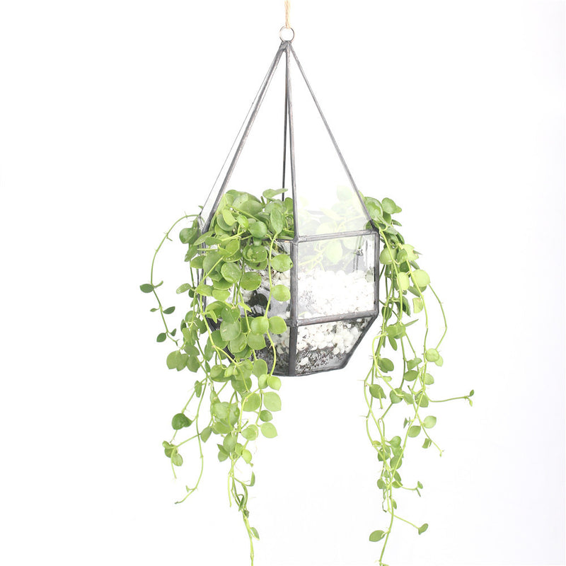 diamond hanging planter Hanging Diamond Terrarium – The Geometric Planter
