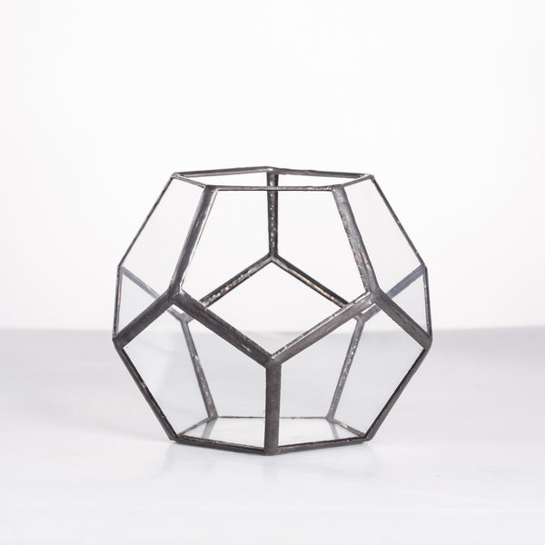 Dodecahedron Terrarium