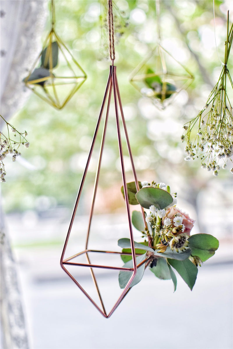 geometric air plant hanger Air Plant Hanger – The Geometric Planter