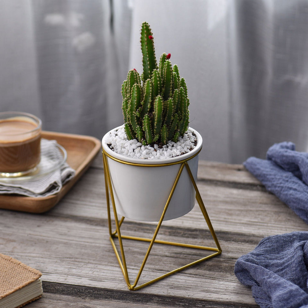 gold circle plant hanger Triangle Stand & Planter (Gold) – The Geometric Planter