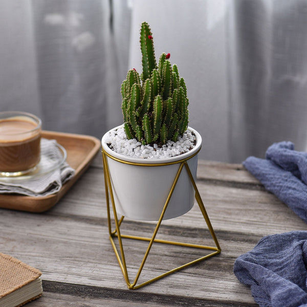 triangle planter pots Triangle Stand & Planter (Gold) – The Geometric Planter