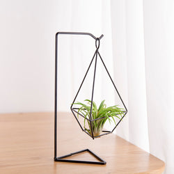 air plant holder amazon Air Plant Holder (2 styles) – The Geometric Planter